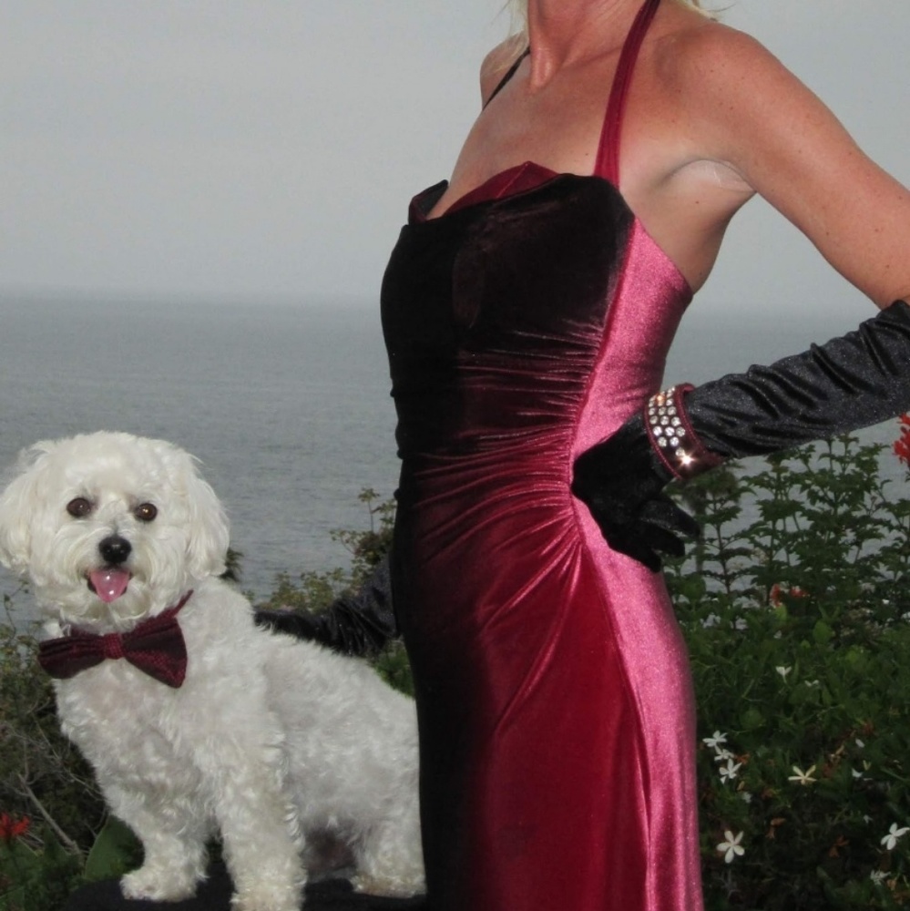 VINTAGE CASADEI DRESS - Picture 3 of 6
